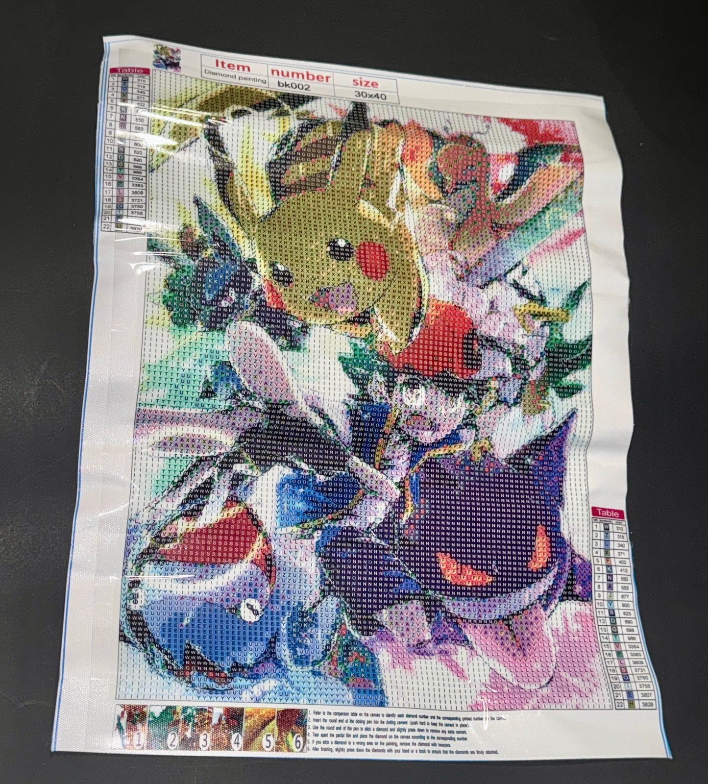 30x40 Pokémon (A9)